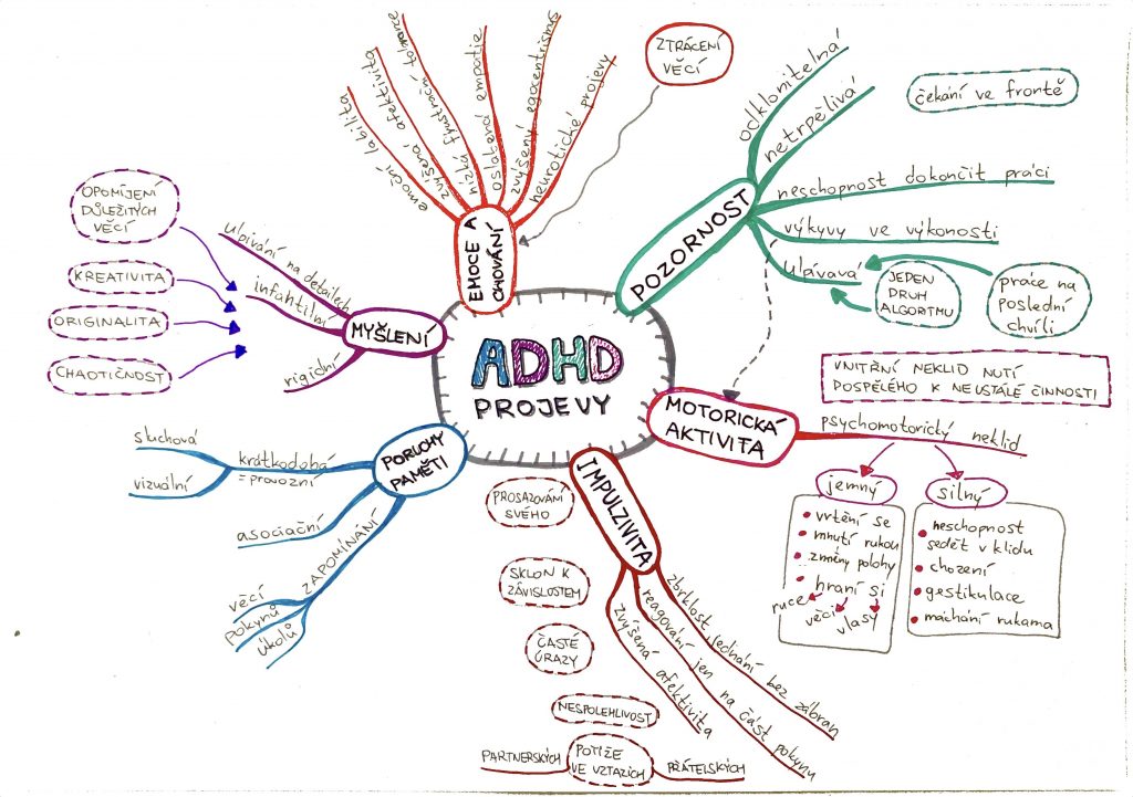 Projevy ADHD v dospělosti